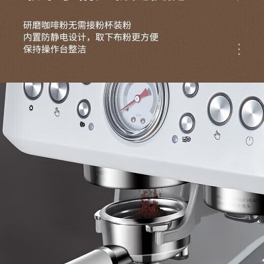 Baicui PE3899 dual boiler Italian full semi-automatic coffee machine household milk frothing machine grinding machine small machine