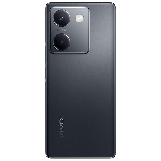 vivo x100 Blau Kristallmess
