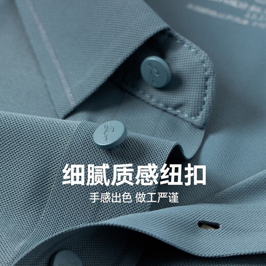 罗蒙蒙罗蒙POLO衫男士短袖t恤中年爸爸装冰丝商务休闲夏季薄款翻领半袖 1421天蓝+1421灰绿 均码 m