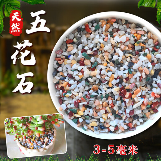 Runhuanian Pure Yuhua Stone Potted Succulent Pavement Stone Small Multicolored Stone Fish Tank Pavement Ornamental Stone Colorful Small Stone Multicolored Stone 3-5mm 4Jin Jin is equal to 0.5kg.