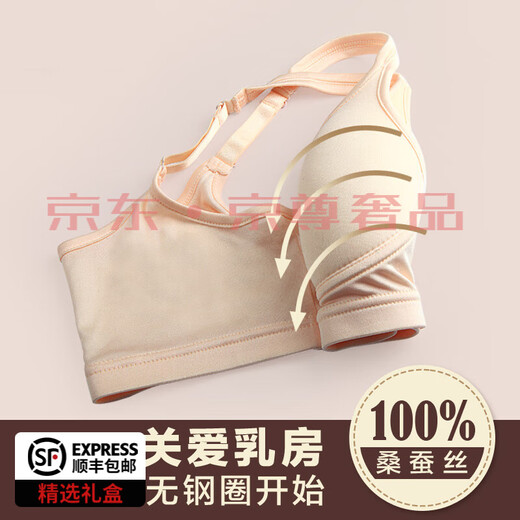 FENTENGG轻奢品牌内衣女双面桑蚕丝 舒适透气 真丝无钢圈透气舒适无痕文 肤色1105（有背扣） M