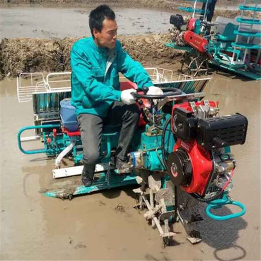 Step-by-step hand-held rice transplanter, 4 rows and 6 rows, rice seedling transplanter, hand-push rice planting machine, ride-on 6 rows