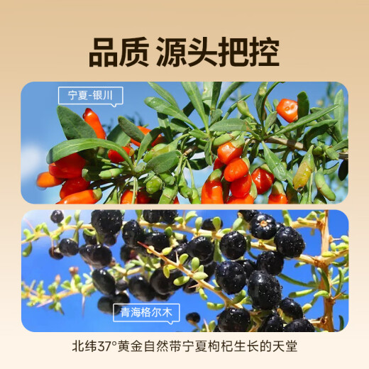 宁之春红黑枸杞原浆1200ml礼品盒 端午节礼物送长辈 宁夏枸杞鲜榨不添加