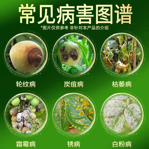 Hulian Crop Protection 70% thiophanate methyl, methyl thiophanate, fruit tree, vegetable field, flower, gibberellus, anthracnose ring spot, pesticide and fungicide