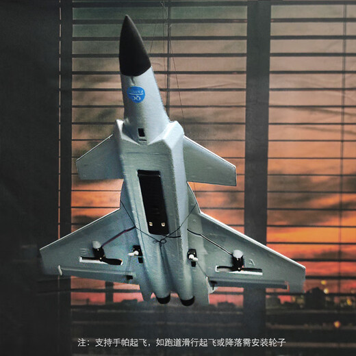 TEMA TONGNTONG Fernbedienungskämpfer J20 Modellmodell Flugzeuge können feste Flügelflugzeuge Spielzeug für Kindergeburtstagsgeschenk 15 Minuten J20 8300 Modell fliegen
