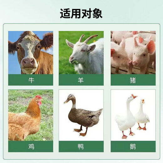 Motherwort granules for veterinary use, postpartum anti-inflammation, blood circulation and blood stasis removal for pigs, cattle, sheep and poultry, female livestock and sow feed additives, motherwort granules 5 bags