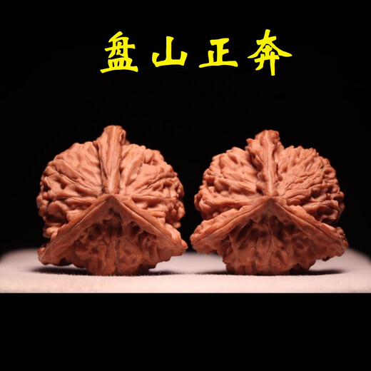 少羽文玩核桃三棱正奔天然盘山文山四楞野生高端收藏级把件 16822【34盘山正奔】