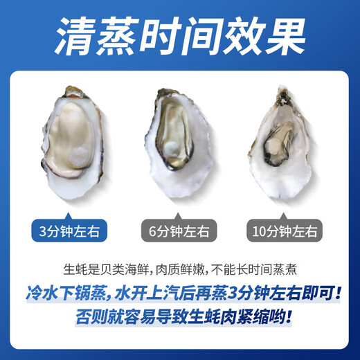 Fresh Seaway Fresh Rushan Oysters 5XL Net Weight 5Jin Jin is equal to 0.5kg 9-12 pcs Fresh Seafood and Shellfish Straight from the Source