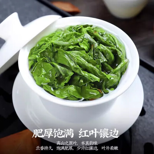 绿茶叶安溪铁观音特级正品浓兰花香自己喝清香型2025新茶乌龙茶叶 250g 2026过节年货礼盒送礼高档送长辈见父母家长送领导