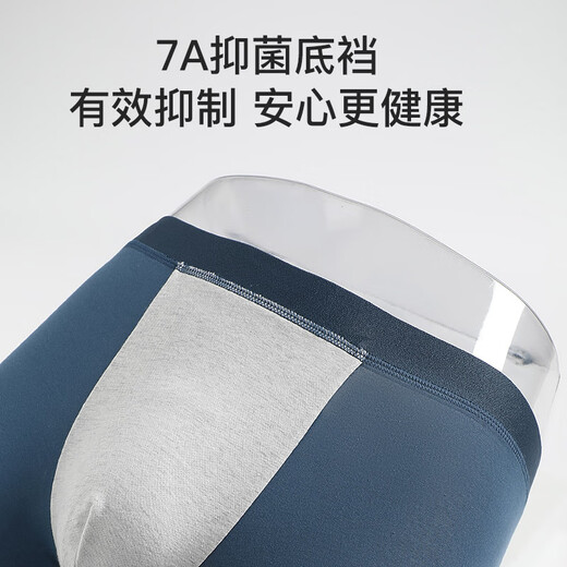 芬腾内裤男式2025年内裤中腰简约平角内裤4条装 灰色/墨兰/灰紫/宝蓝 4条 2XL