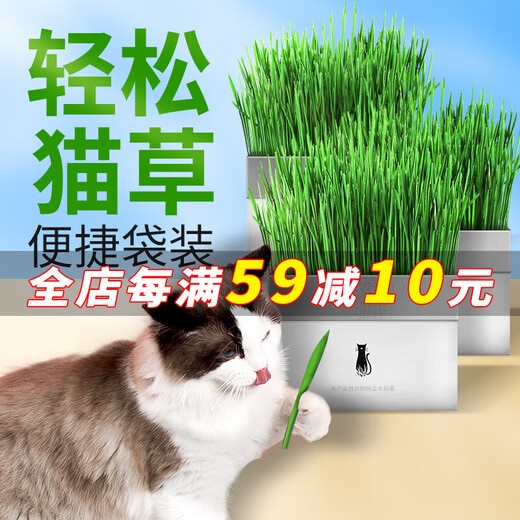 Lion Doctor Hydroponic Cat Grass Set Wheat Seed Cat Snacks Lazy Potted Hair Removal Ball Natural Cat Grass Self-Grown Fresh Grass Special Offer 4 bags as low as 2.5/bag