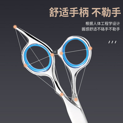 Special pet grooming scissors for pet dog Teddy Bichon shearing, cat hair shearing, dog hair shearing, professional barbering and dog shaving