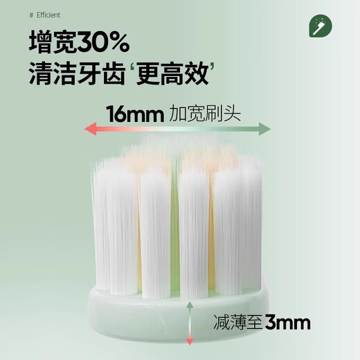 La même brosse à dents de Qijing Sam pour les cheveux doux pour adultes têtes larges grandes tête couples et décoration de maison portable pour hommes [prix spécial] vert + jaune + rose 3 pièces