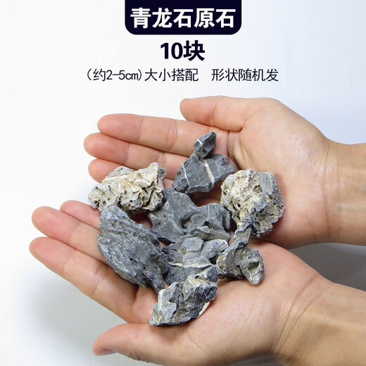 Landscape stone stream stone fish tank landscaping stone potted plant real stone grass tank rockery small bonsai micro landscape Qinglong stone rough stone 10 pieces (about 2-5cm)