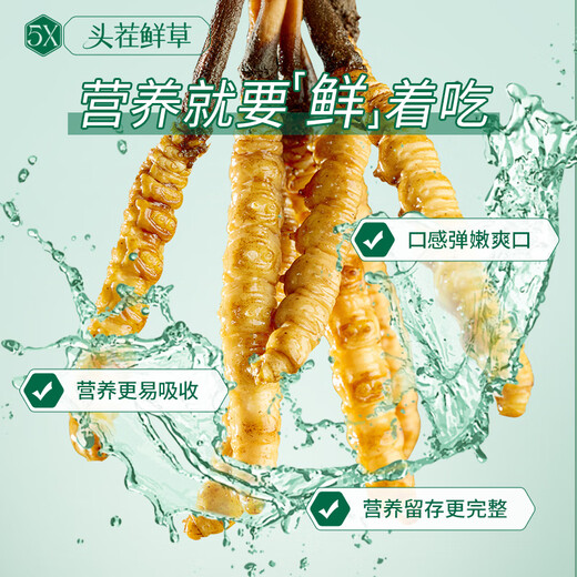 Ayishe Der erste frische Cordyceps sinensis frische Cordyceps -Geschenkbox im Jahr 2025 wird an die Ältesten im Drachenboot Festival Geschenk 1 Gramm/Wurzel 50 Geschenkboxen geliefert