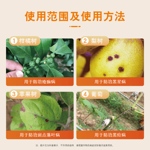 Guoguang Luolisheng 80% mancozeb citrus and pear tree scab disease black pox scab disease pesticide fungicide 100g/bag