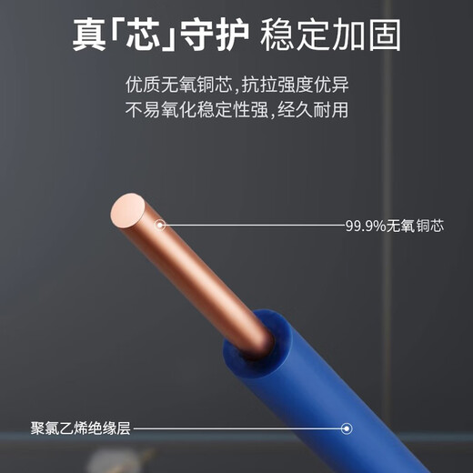 Decoración del hogar National Standard Copper Core Wire Llama Cable de retardante 15246 Cizalla plana 5 metros Azul BVR Soft Wire 100m 10 MM MM