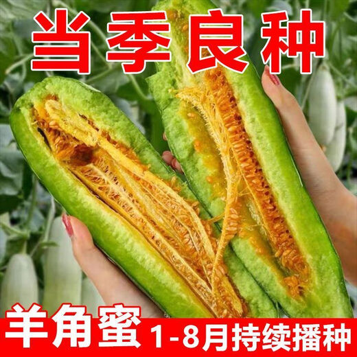1,700+ people placed orders within a week. Original croissant honey melon seeds, sweet and crispy thin-skinned cantaloupe croissant for all seasons. Croissant honey seeds-super sweet and thin-skinned. ky588* crispy flesh-easy to grow. About 200 pcs.