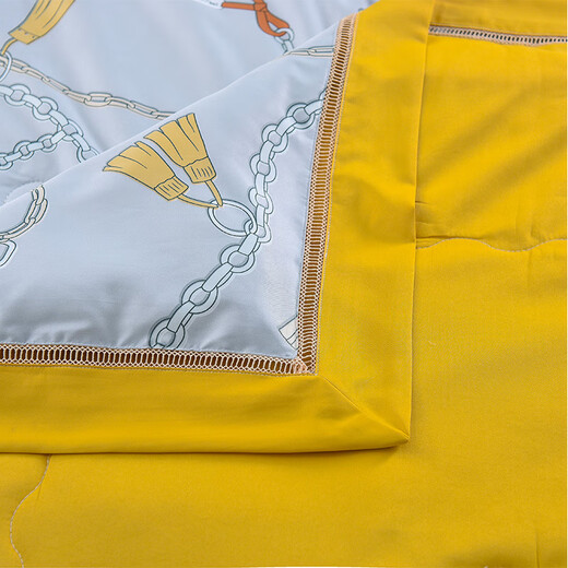 
Silk satin silk quilt soft and skin-friendly dream enjoyment QFS12129