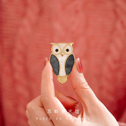 Feiyu A cute owl brooch women's niche high-end exquisite fashion luxury temperament high-end light luxury with suit owl brooch
