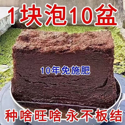 High foaming coconut brick nutritious soil compressed coconut bran desalination general soil for growing vegetables and flowers planting large pieces of coconut bran soil 20 coconut bricks high quality/high nutrition/high foaming