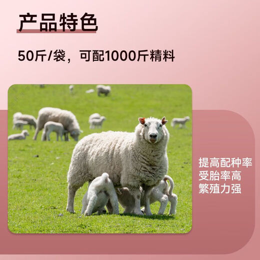 Jin Haoyuan Jin Haoyuan 5% ewe premix 50 Jin Jin is equal to 0.5 kg to improve postpartum recovery of breeding milk