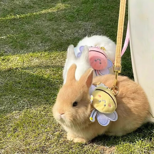 Amor rabbit traction rope for walking rabbits, special anti-breakaway rabbit rope, walking rabbit rope, small dwarf rabbit supplies, anti-biting, yellow, bee style, recommended 1-6 Jin Jin equals 0.5 kg