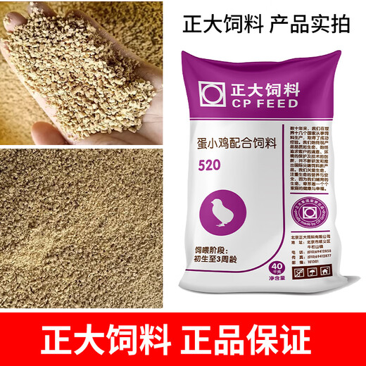 Zhengda 521 Chicken Feed, Chick Opening, Chicken Feed, Wholesale Medium Chicken Food Premix 80Jin, Jin is equal to 0.5kg, Zhengda 521 Chicken Feed, 20Jin, Jin is equal to 0.5kg