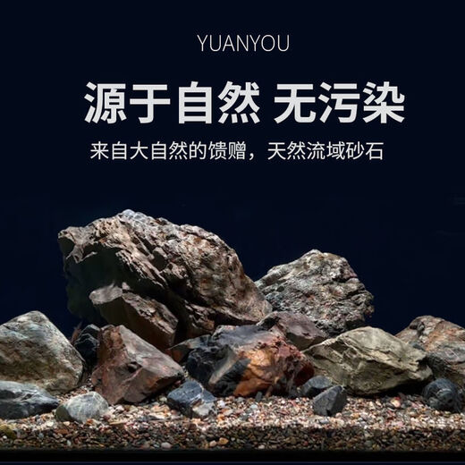 Stream stone ultra-fine bottom sand fish tank turtle tank bottom sand stream sand bottom stone fish tank landscaping stone native stone 3 to 5 cm 30-50 g