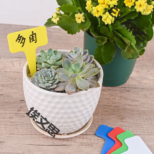 Marca de adopción de árboles etiqueta de jardinería identificación de etiquetas suculentas etiqueta de flor simulada en forma de T registro de nombre de planta anti-grande engrosado amarillo 2 piezas