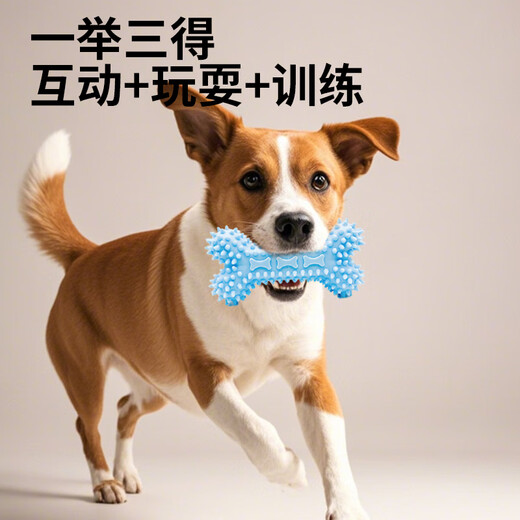 ZanChong Macaron Dog Toy 4-piece Set Teething Resistance and Bite Resistance Universal Dog Training Interactive Self-Enjoyment and Boredom Relief TPR Rubber Ball