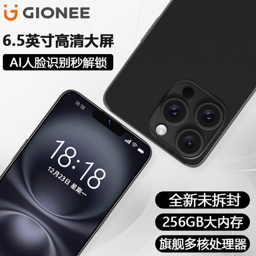 金立新款256GB八核智能手机超薄长续航全网通微信八开6.5英寸大屏人脸识别老年人学生电竞游戏备用 黑色 8核+128GB