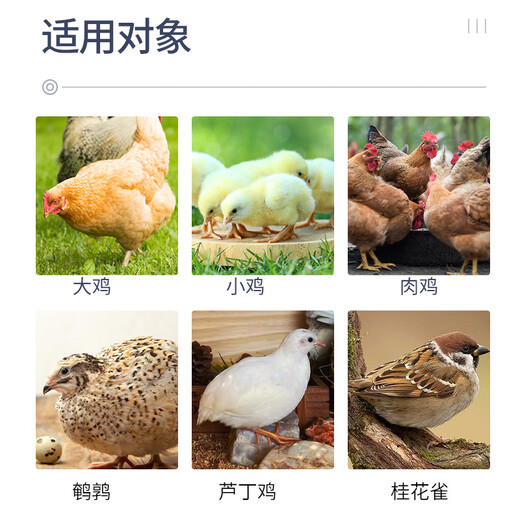 Zhengda 521 Chicken Feed, Chick Opening, Chicken Feed, Wholesale Medium Chicken Food Premix 80Jin, Jin is equal to 0.5kg, Zhengda 521 Chicken Feed, 20Jin, Jin is equal to 0.5kg