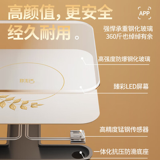 致生活 家用精准电子秤体重秤智能体脂秤Type-C快充体重称电子秤减肥专用的人体秤称重计 体脂充电款黑色-明星代言