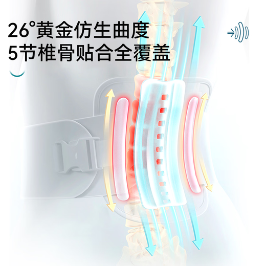 Panda Xixi waist belt waist disk strain and herniation for a long time sitting and moxibustion waist support lumbar spine fixation belt for men and women. Belt + functional tablet L