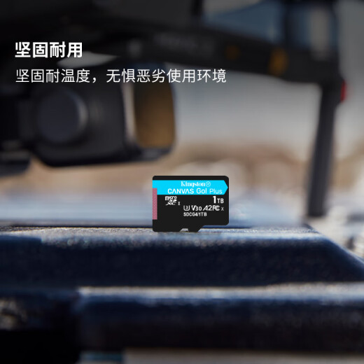 金士顿（Kingston）1TB TF（MicroSD）存储卡 无人机/运动相机 内存卡 U3 V30 A2 4K 读速200MB/s兼容手机/行车记录仪