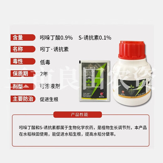 1% indolebutyric acid inducer rice seedling field promotes rooting and vigorous root plant growth regulator