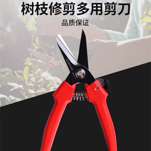 Robin Hood (RUBICON) branch pruning shears, multi-purpose pruning shears, fruit tree shears, high branch shears, garden shears, gardening shears RPS-717