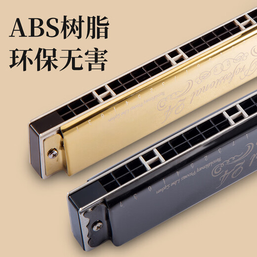 孔声口琴24孔复音C调初学者入门口琴成人口风琴老式口琴 黑色 C调 初学