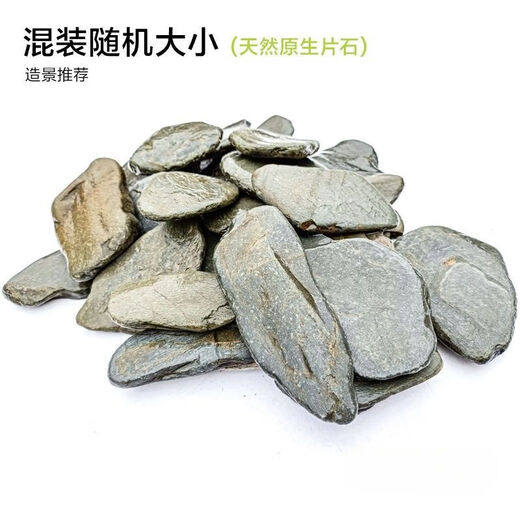 Pure natural stream stone fish tank landscaping stone flakes turtle basking back schist climbing pet rockery terrace landscaping stone 3Jin Jin equal to 0.5kg 20-30cm schist size matching