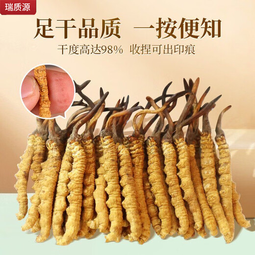 Ruizhiyuan authentique garanti en cordectes garantis nourrissant la santé et la boîte-cadeau à haute altitude pour les parents et les anciens [Boîte-cadeau 30g] véritable cordyceps séché 150 pièces