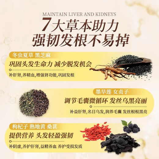 Yu Rensheng Wucai Capsules 60 capsules pour nourrir le foie et les reins, doux en interne pour consolider les cheveux, renforcer les cheveux et continuer à développer les cheveux noirs