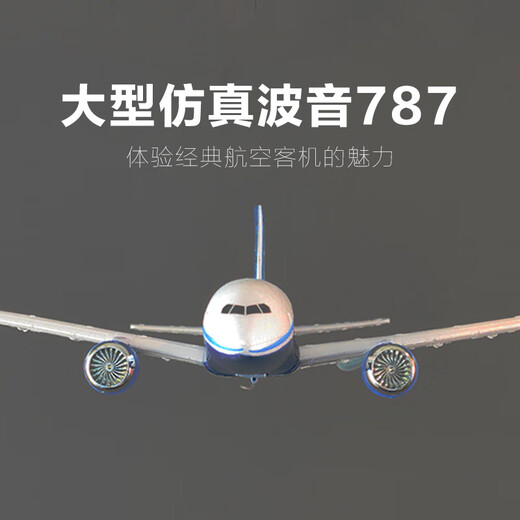 SHENX儿童遥控飞机客机A380大型固定翼航模男孩男生生日礼物儿童节玩具 16分钟-大号波音787三通道