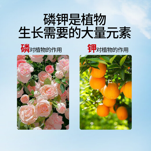 Laianping'an potassium dihydrogen phosphate flower fertilizer, special phosphorus and potassium fertilizer for flowers, agricultural flowers, foliar spray fertilizer, general purpose for plants