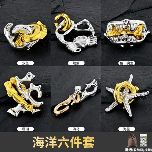 安迪泰鲁班锁10-15岁新款puzzle解谜玩具合金益智孔明锁全套高智力拼装 新款-合金五件套