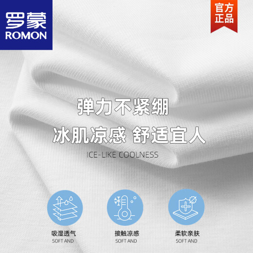 罗蒙（ROMON）冰丝棉贴布刺绣圆领短袖t恤男士欧洲站2025夏季新款宽松体恤衫潮 砖红色 【6630】 M 体重90-110斤