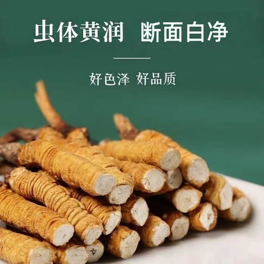 冬虫夏草大断草藏区精品断虫草自食优惠当天发货2025头期断虫草 藏区精品大断草10克装