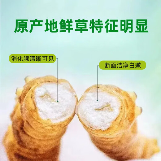 
2025 first-term fresh grass fresh cordyceps genuine fresh cordyceps natural fresh cordyceps nutritional nourishment gifts Tibetan fresh grass 0.5-0.6 grams/piece 30 pieces of 2 pieces Cordyceps SF Express delivery