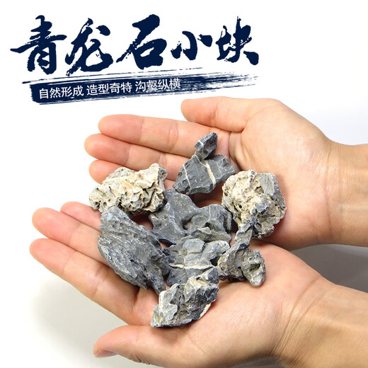 Landscape stone stream stone fish tank landscaping stone potted plant real stone grass tank rockery small bonsai micro landscape Qinglong stone rough stone 10 pieces (about 2-5cm)