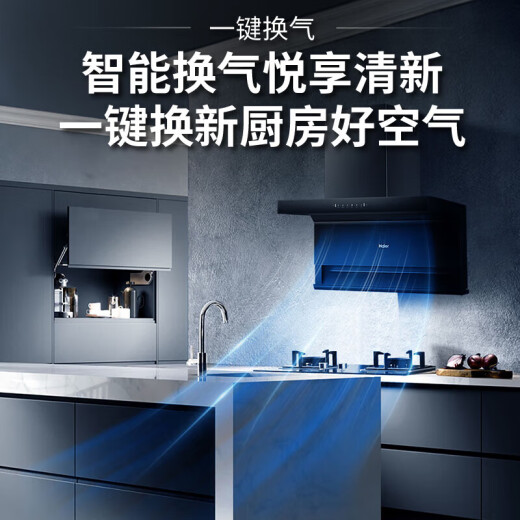 海尔（Haier）抽油烟机家用烟灶套装顶侧双吸油烟抽烟机大吸力机厨房燃气灶具二件套7字侧吸式变频EC723 【两件套】4.5KW猛火灶Q2BE50(液化气)